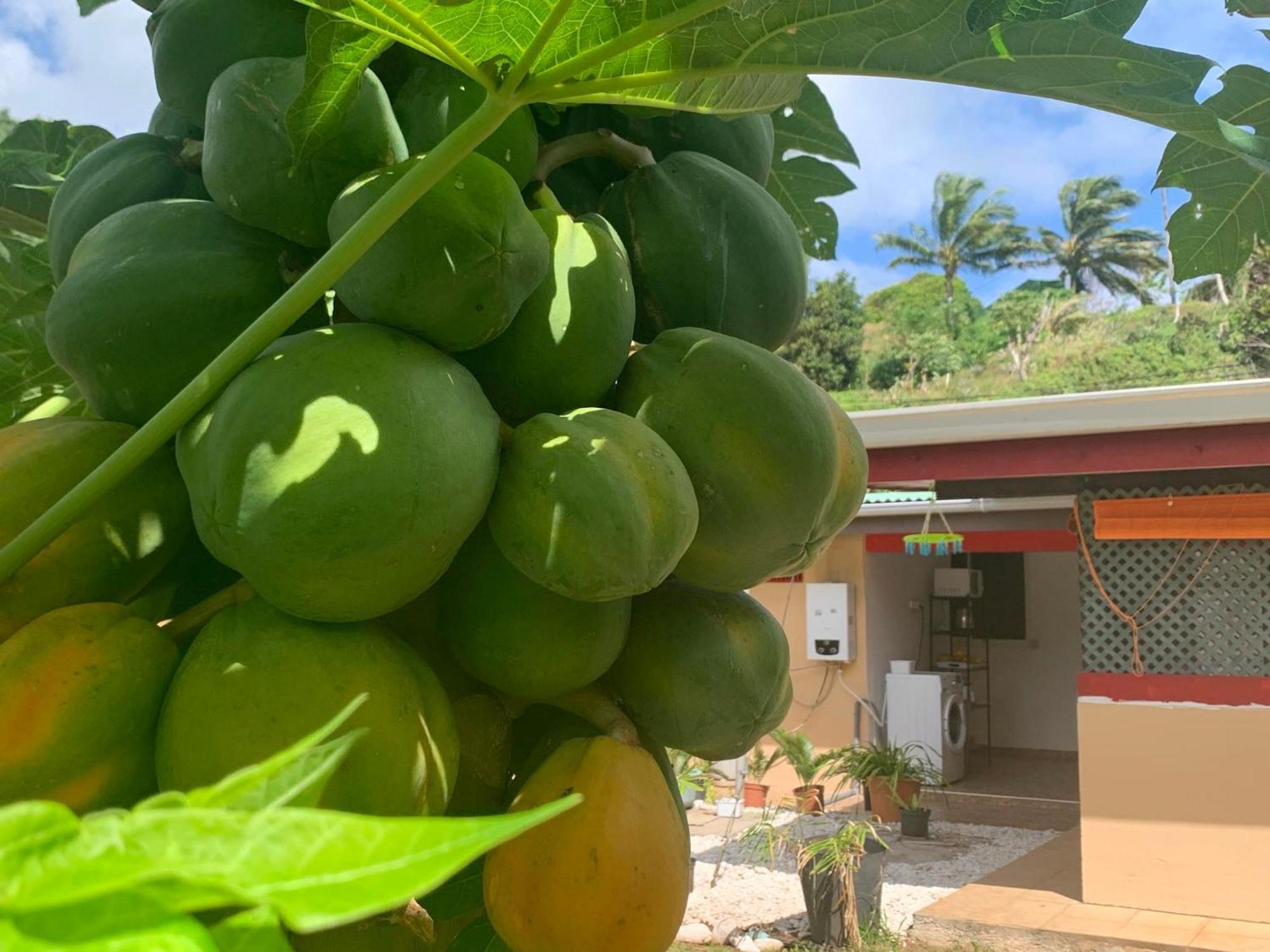 Lemon House Maroe Exterior foto